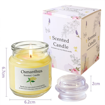 Aromatherapy Scented Candles Gift Set