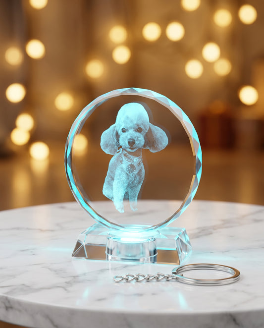 Personalized Photo Crystal Keychain & LED Light Ornament